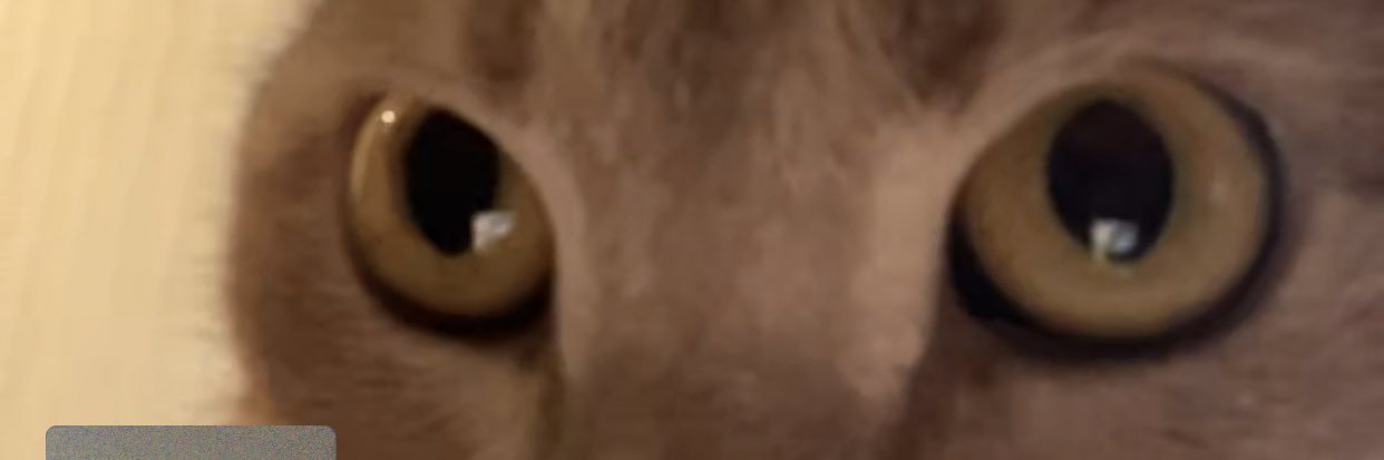 peha111's profile banner image