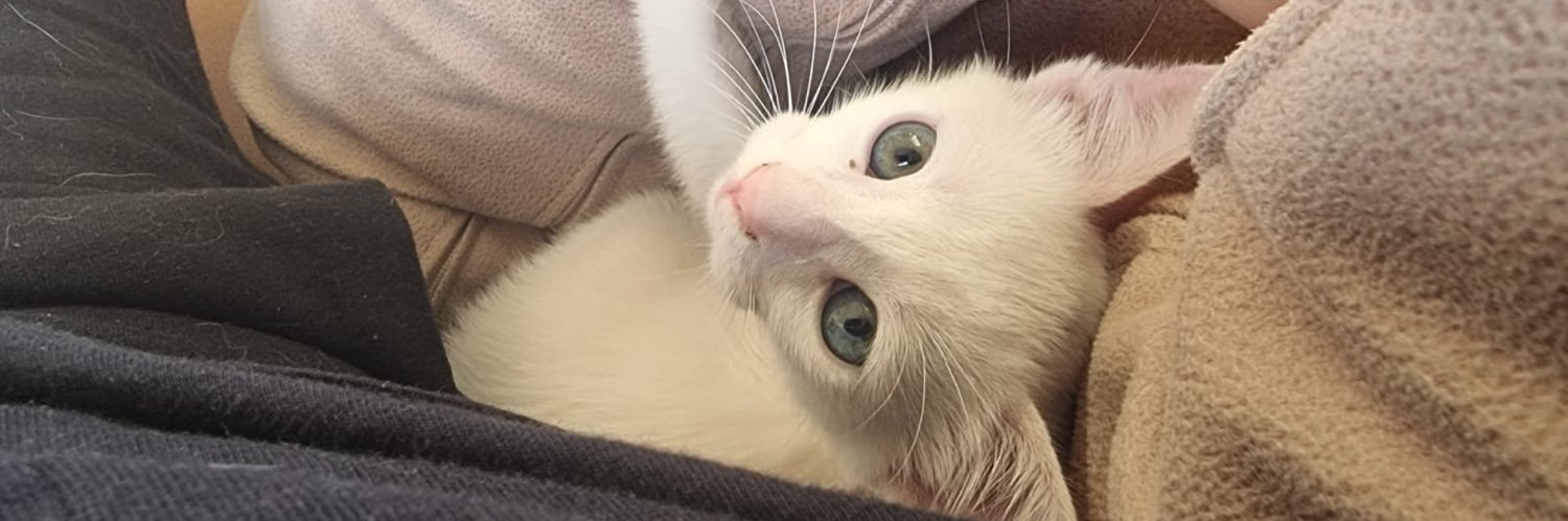 bebe06_'s profile banner image