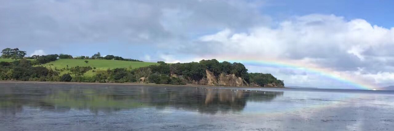 叨叨刀力撕 banner