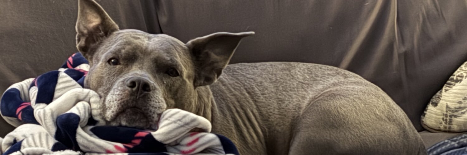 PibbleDad's profile banner image