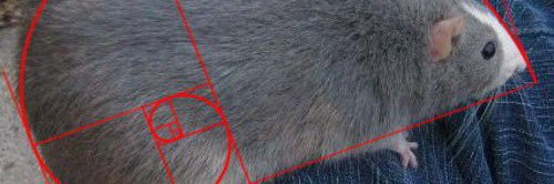 juliaverlain's profile banner image