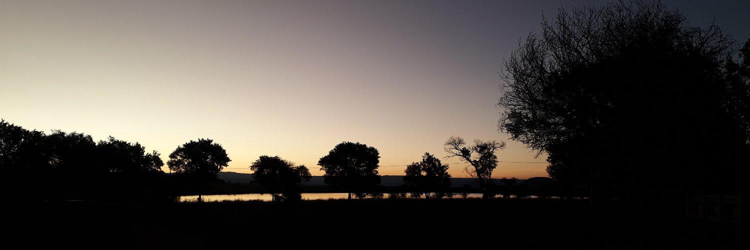 TheReal_Mzi's profile banner image