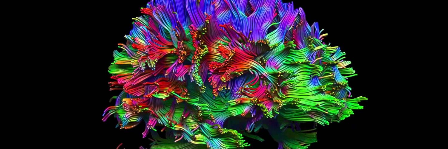 danilo_debarros's profile banner image