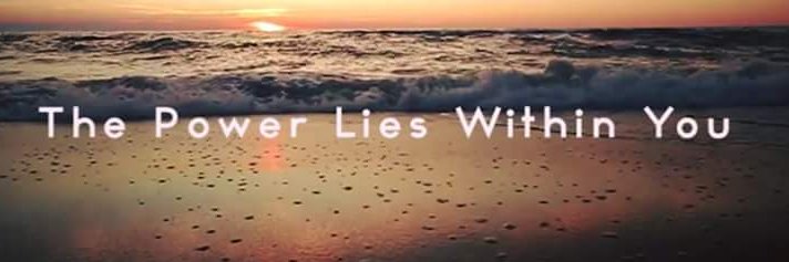 Life Of Commerce banner