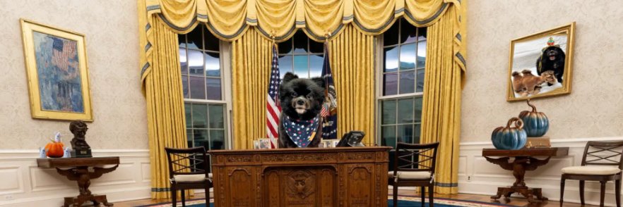 Gracie Ann/Princess Gracie the Gracious, 31st PODT banner