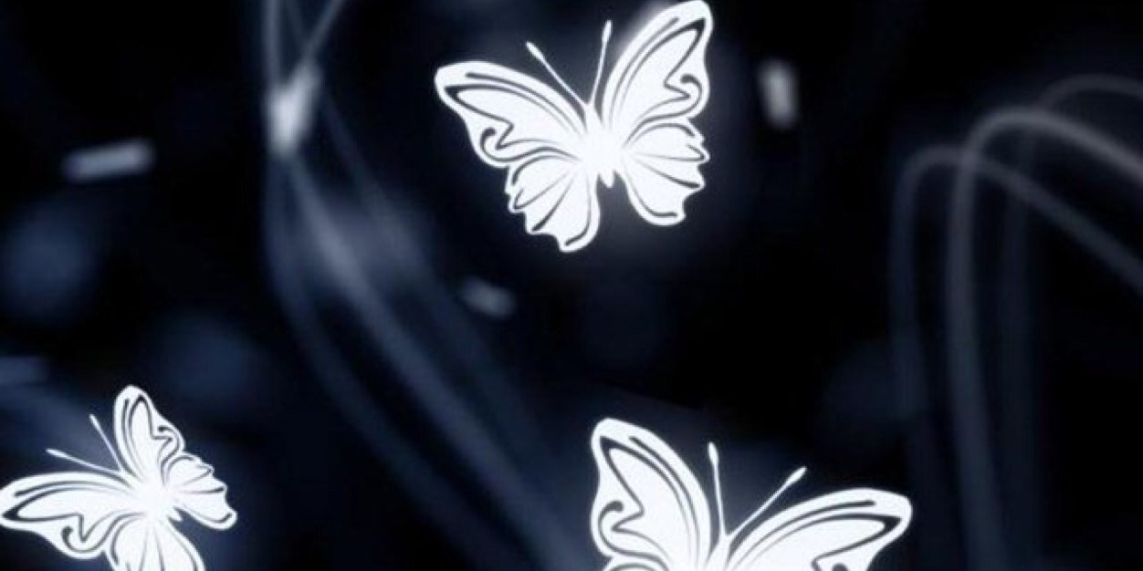 elisticks's profile banner image