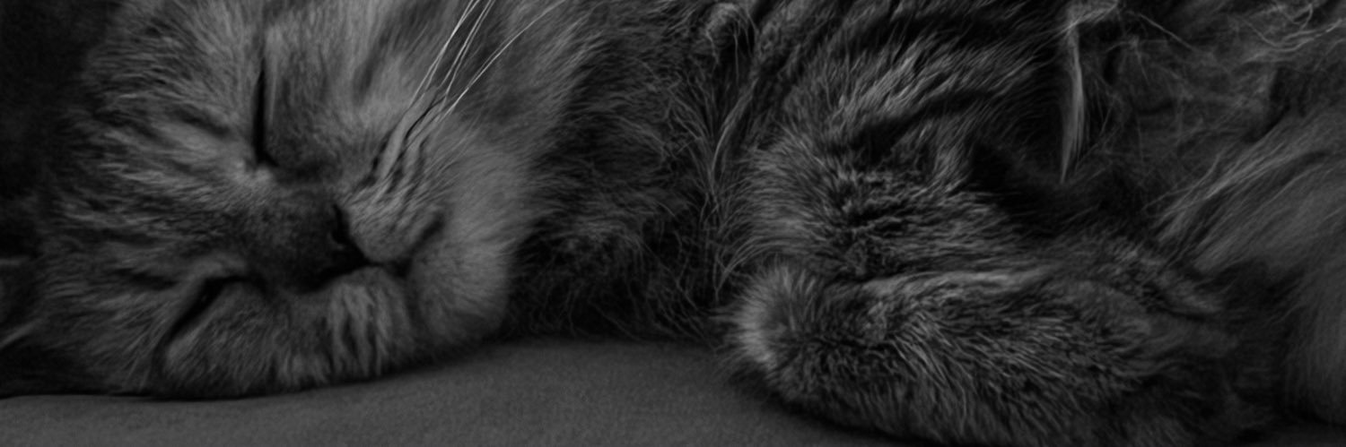 dhailight's profile banner image