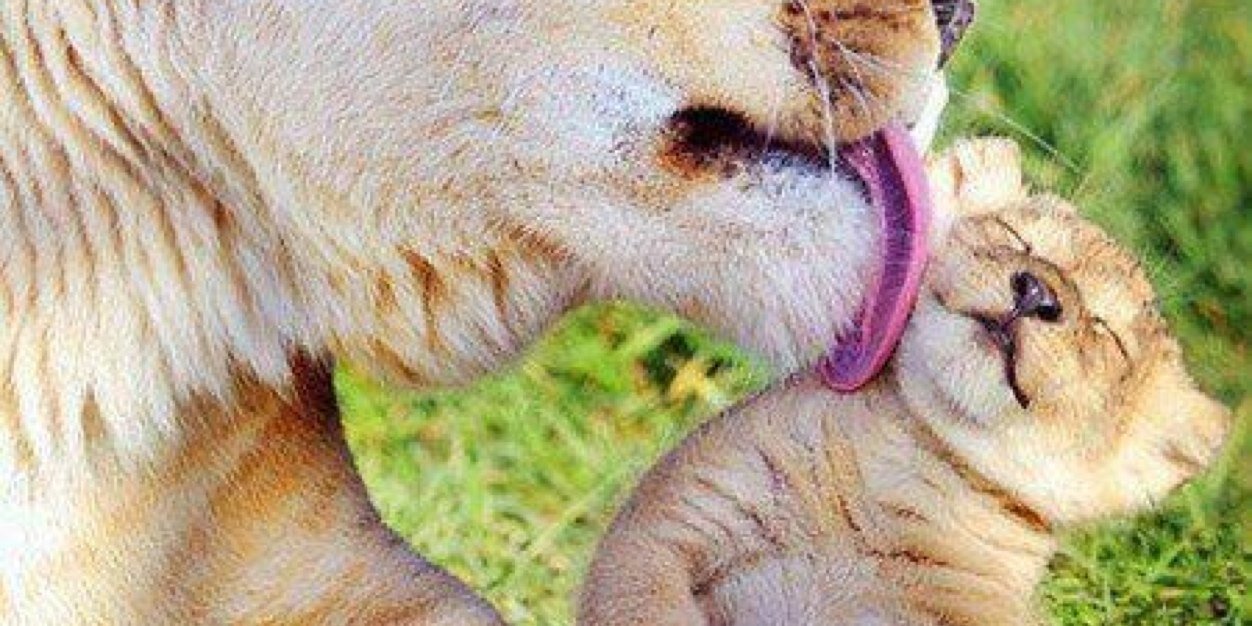 loret_za's profile banner image