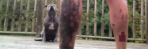 GaryAylett's profile banner image