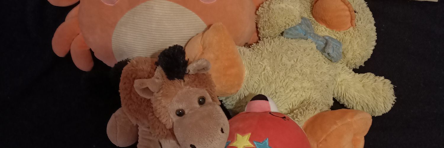 Hopes, dreams and diapers banner