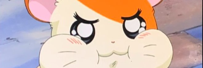 jspa1105's profile banner image