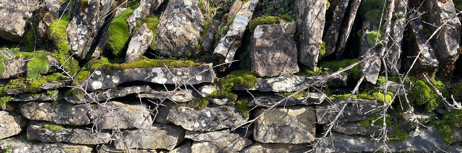 Patricia Fanlo banner