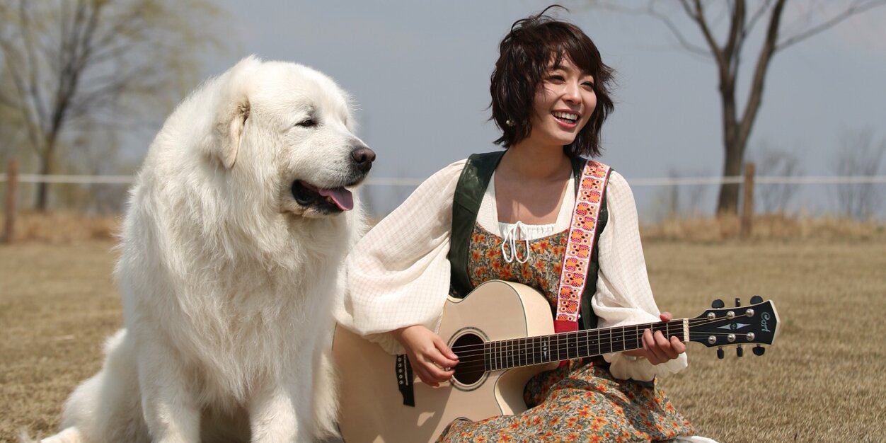 dmz0326's profile banner image