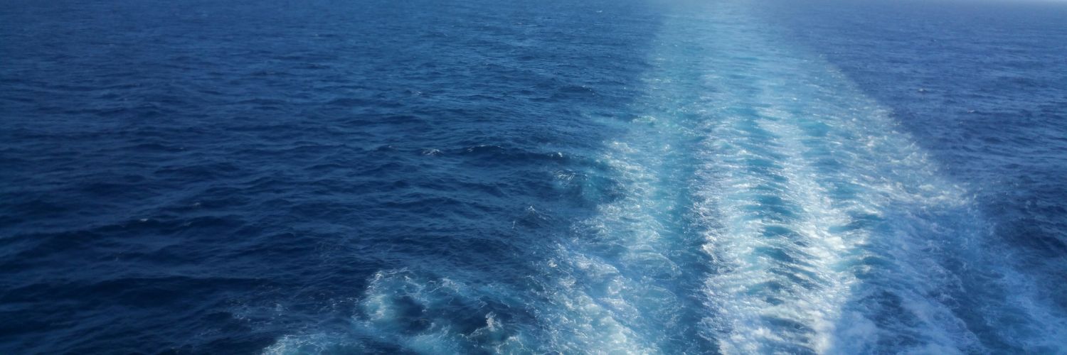 loisamaral's profile banner image