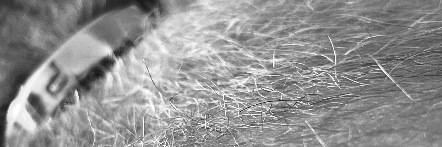 german_sucker banner