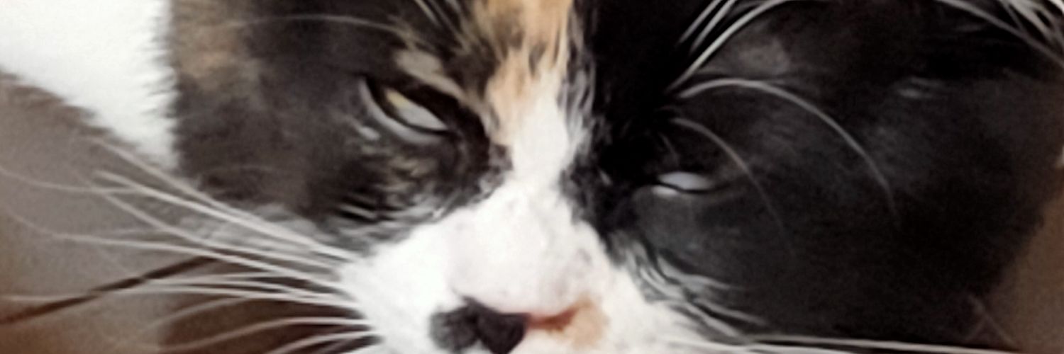 ゆうたろう banner