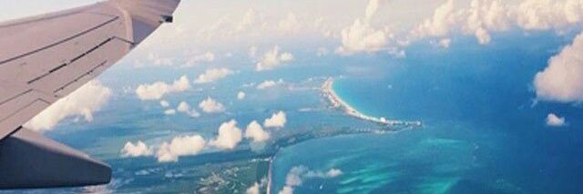 Flor banner
