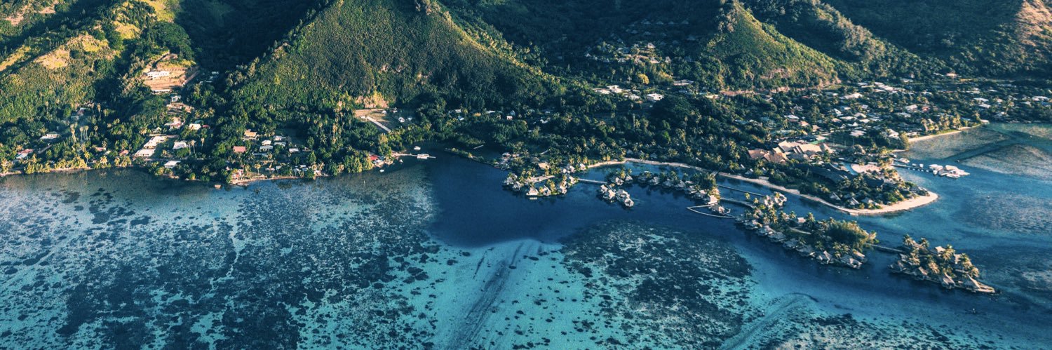 Dylan Patenotte banner