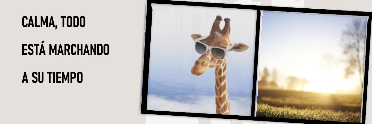 OIMB815's profile banner image