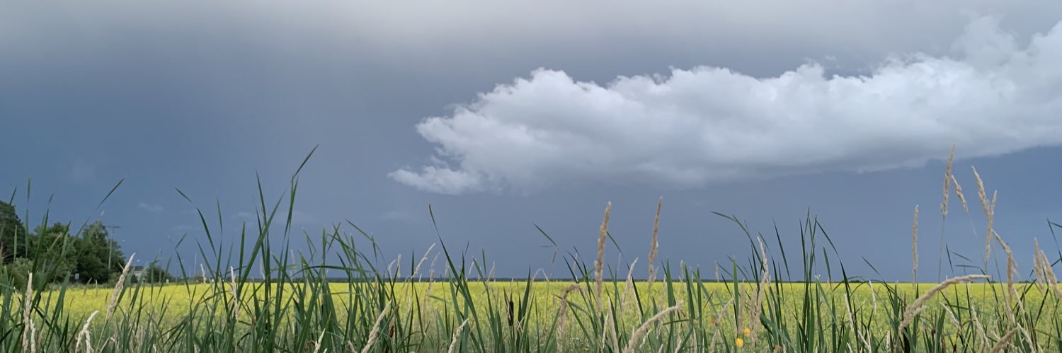 HappyJoyousFree banner