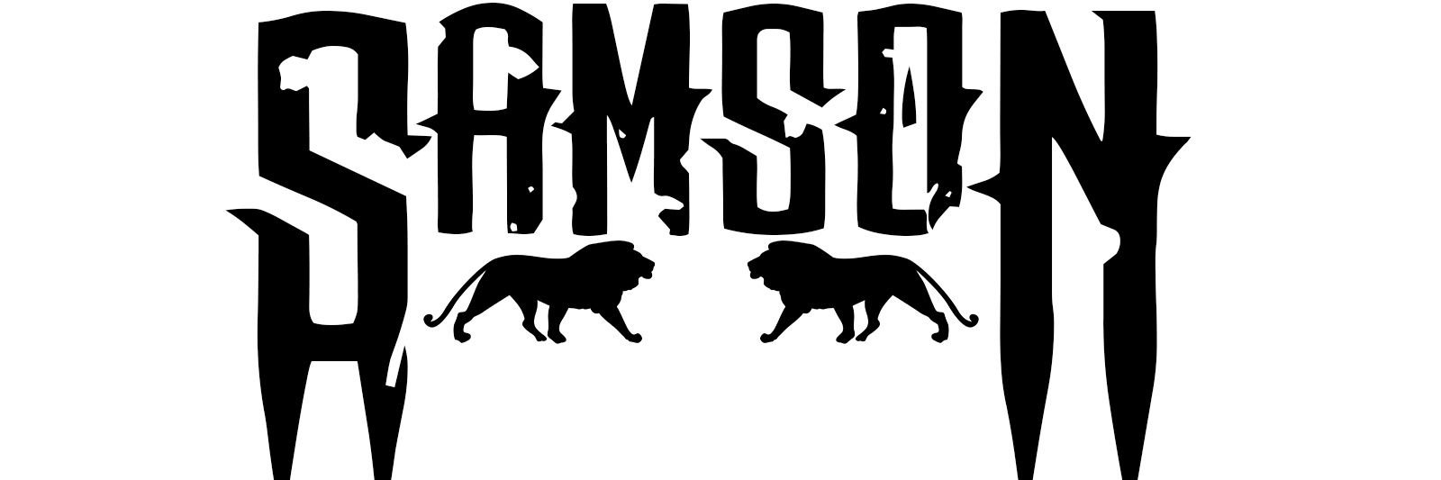 SamsonHSE's profile banner image