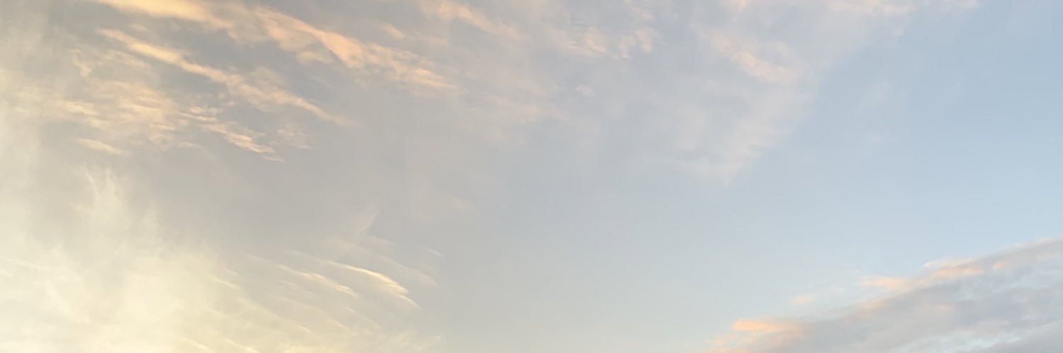 PSGobbi_'s profile banner image