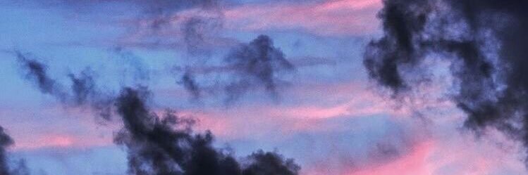 zee banner