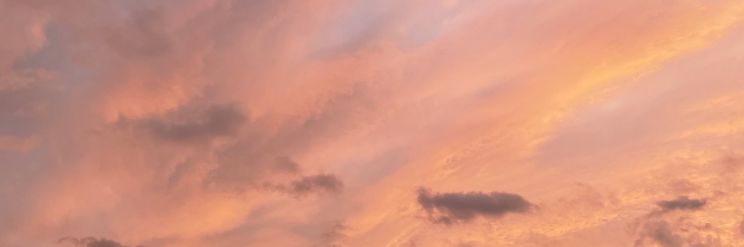 anna_dukart's profile banner image