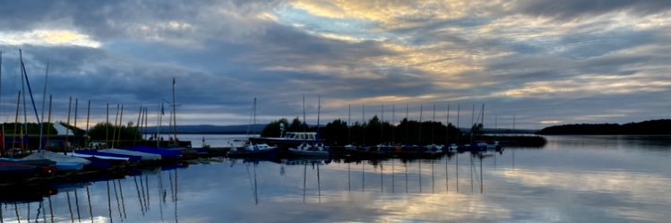 Dorothy Molloy ✍️📜✍️🐊 banner