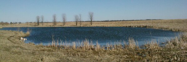 JPan77 Profile Banner