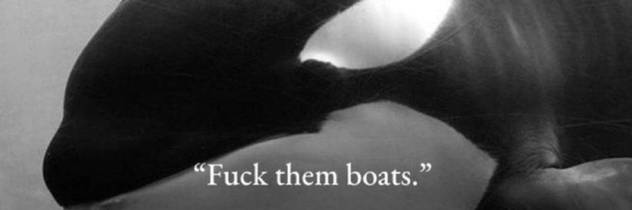 magilla gorilla banner