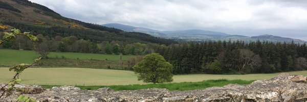 ConwayDavid Profile Banner