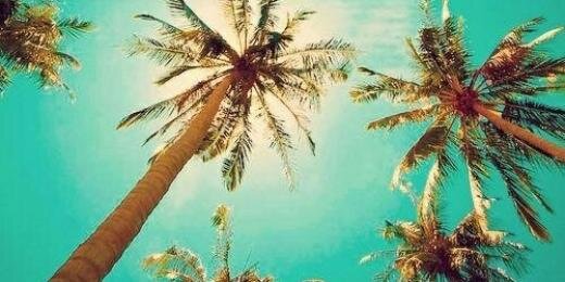 ChechuSouto's profile banner image