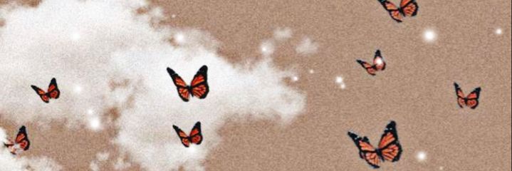 🦋 banner