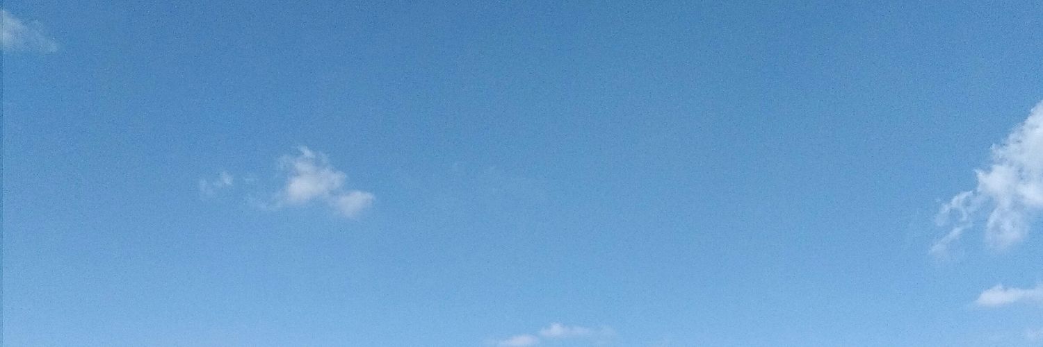 AlejandraBote's profile banner image