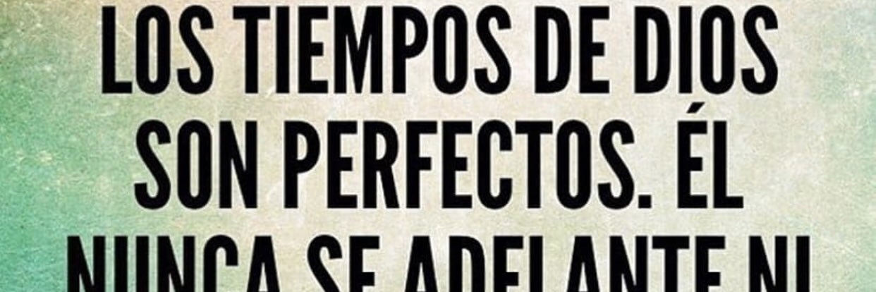 Diliamartinez's profile banner image