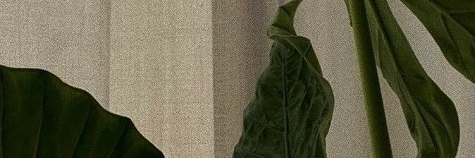 whale_whdals's profile banner image