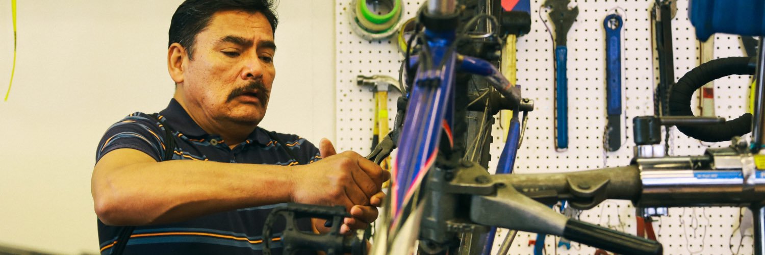 The Bicycle Tree banner