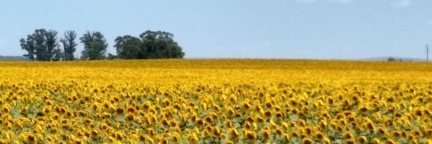MarceChristin's profile banner image