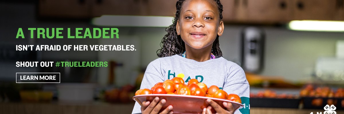 IN 4-H Foundation banner