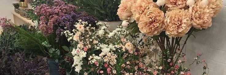 fluteeby banner
