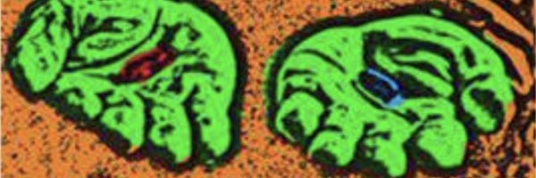 WaveZ66 Profile Banner