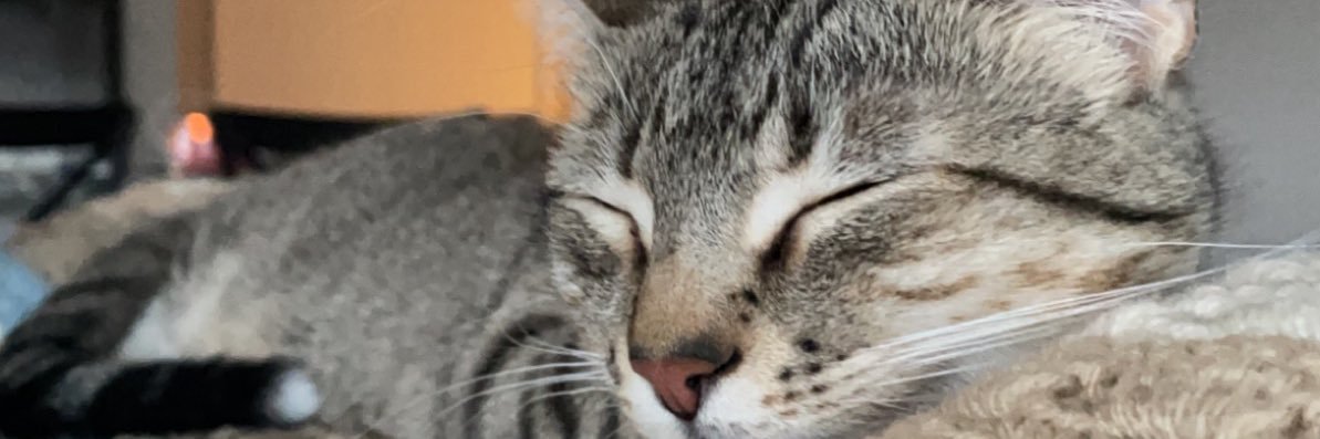 rbdean1's profile banner image