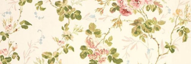 BellidoRo's profile banner image