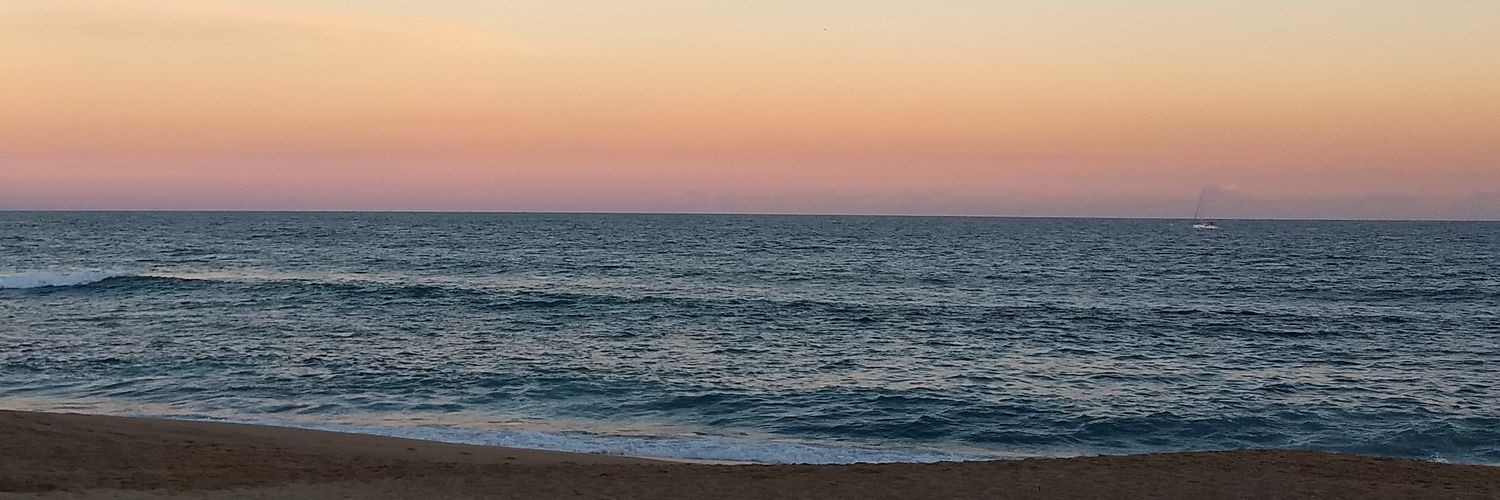 Andrea Lich 🍀 banner