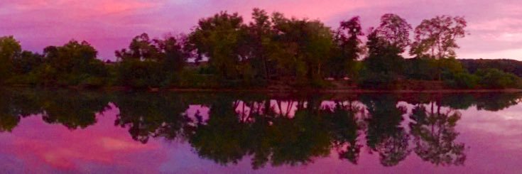 MComp_OliveART's profile banner image