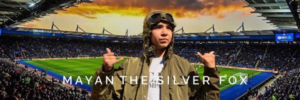 mayansilverfox Profile Banner