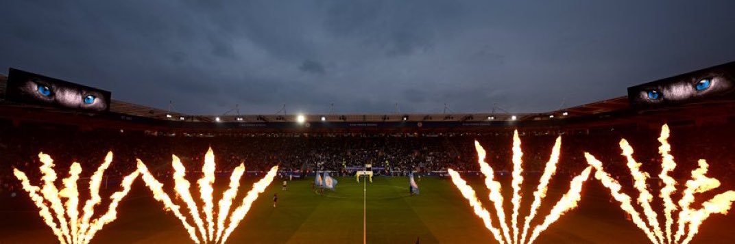 @MAYANTHESILVERFOX 🦊💙 banner