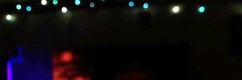 Animal Fort Studios banner