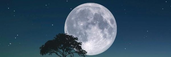 SheebaNQureshi1 Profile Banner